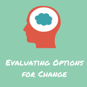 evaluating options for change in your business