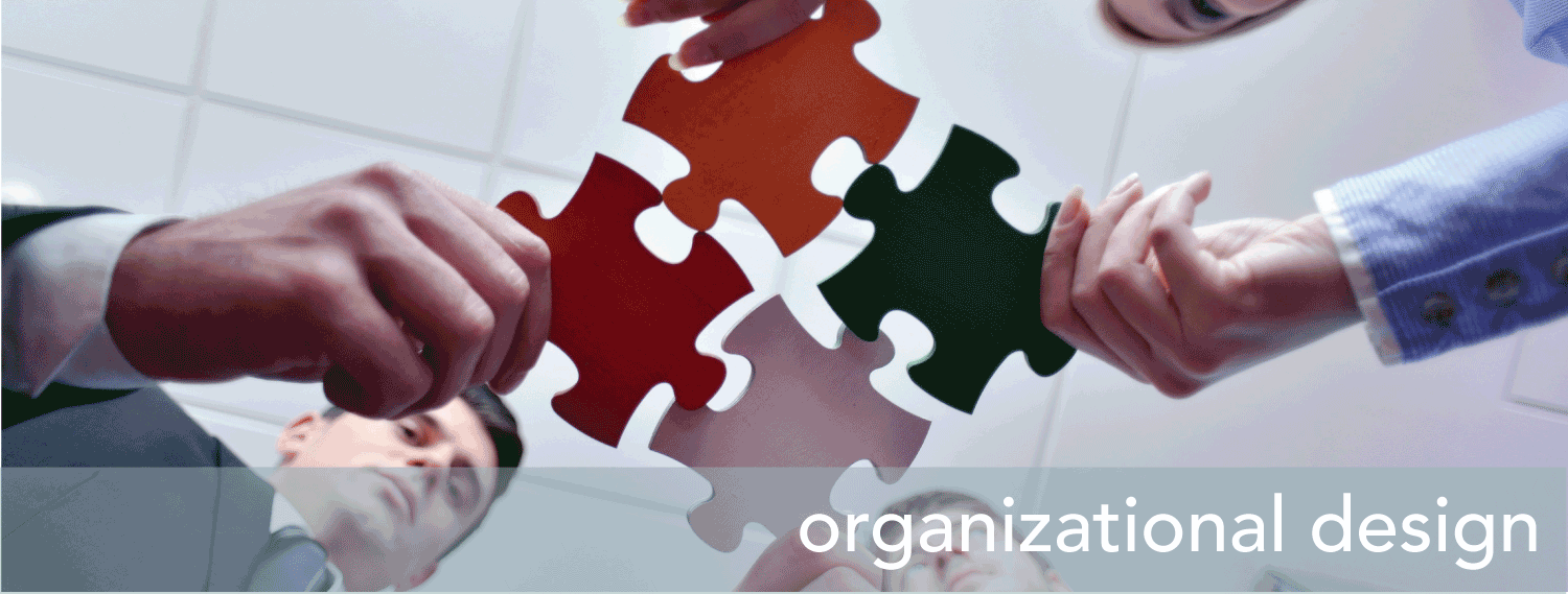 Organizational Design Services