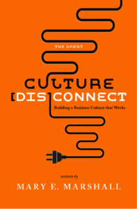 Culture disconnect book cover